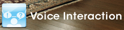Voice Interaction